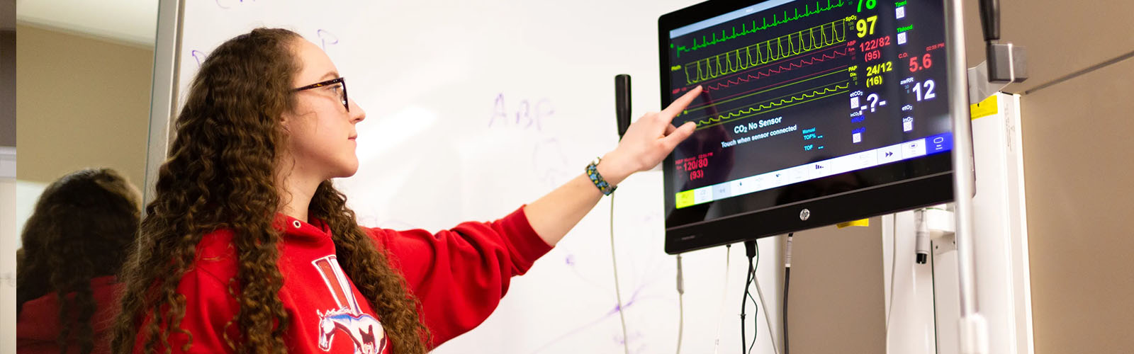 1600x500-nurse2-computer.jpg